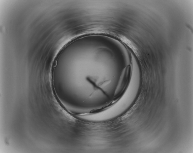 X0000091541334200708171235