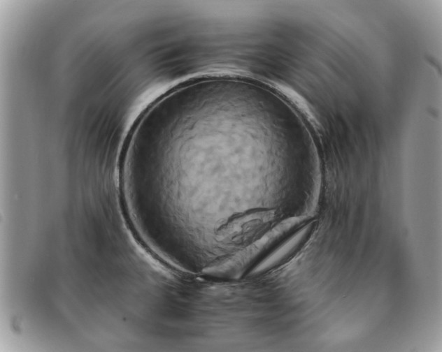 X0000091541335200708171235