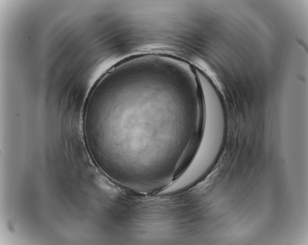 X0000091541336200708171235