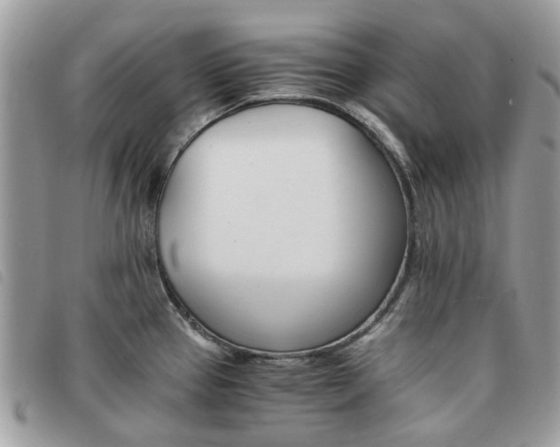 X0000091541337200708171235