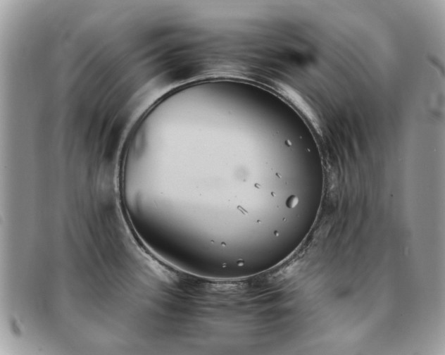 X0000091541339200708171235