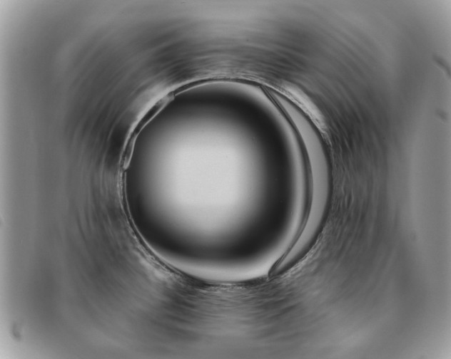 X0000091541340200708171235