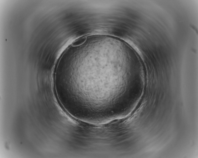X0000091541341200708171235