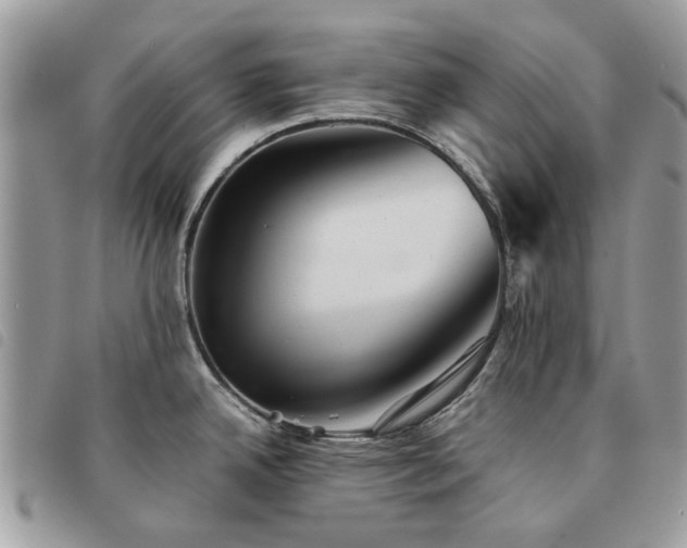 X0000091541342200708171235