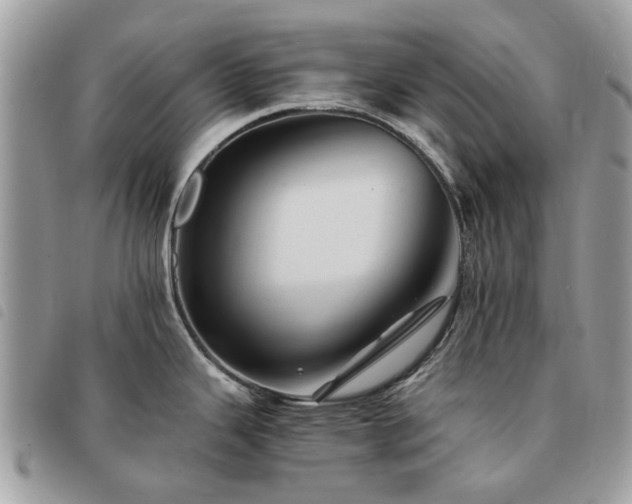 X0000091541343200708171235