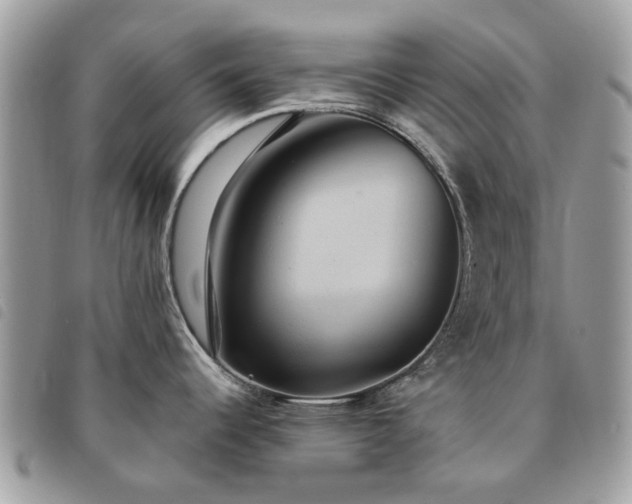 X0000091541344200708171235
