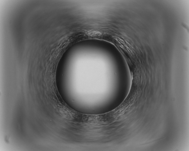 X0000091541345200708171234