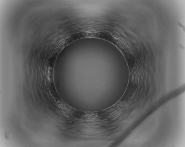 X0000091541346200708171234