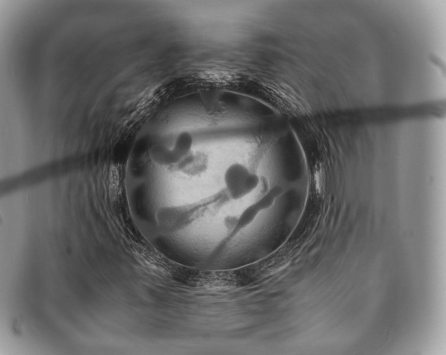 X0000091541347200708171234