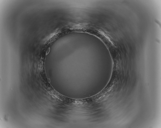 X0000091541350200708171234