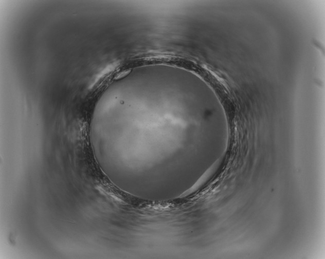 X0000091541351200708171234