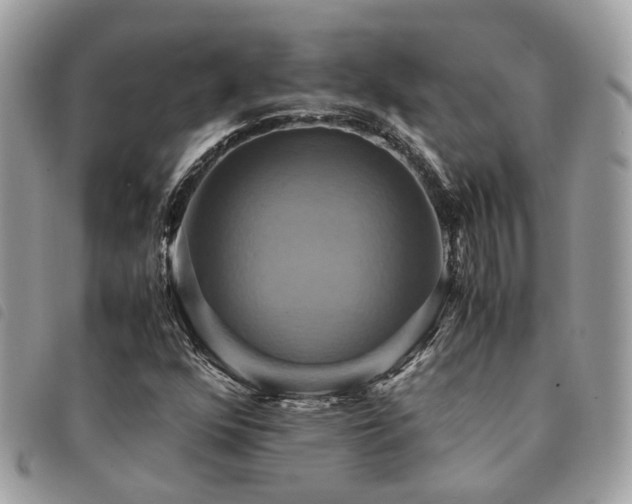X0000091541352200708171234
