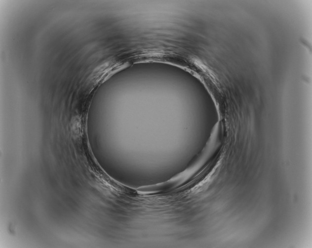 X0000091541353200708171234