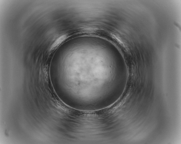 X0000091541354200708171234