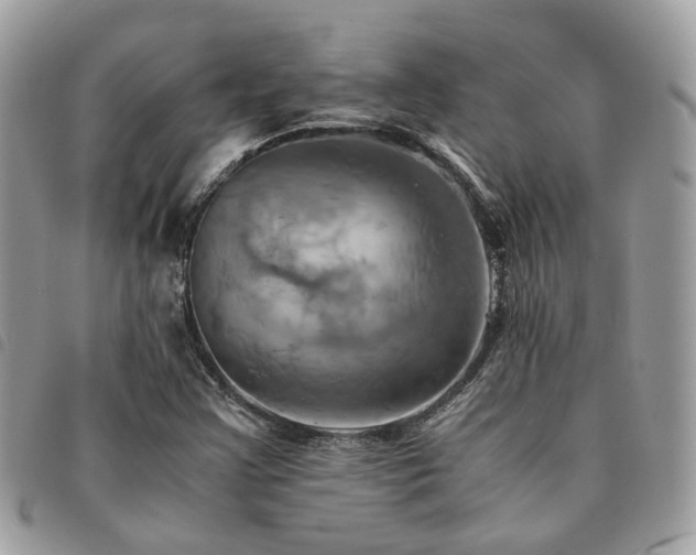 X0000091541355200708171234