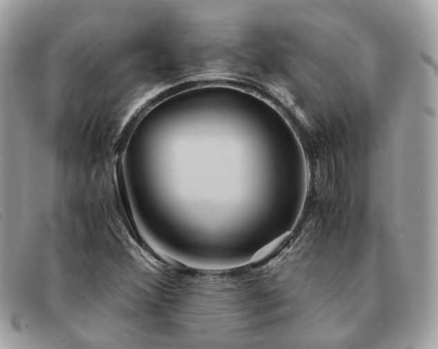 X0000091541356200708171234