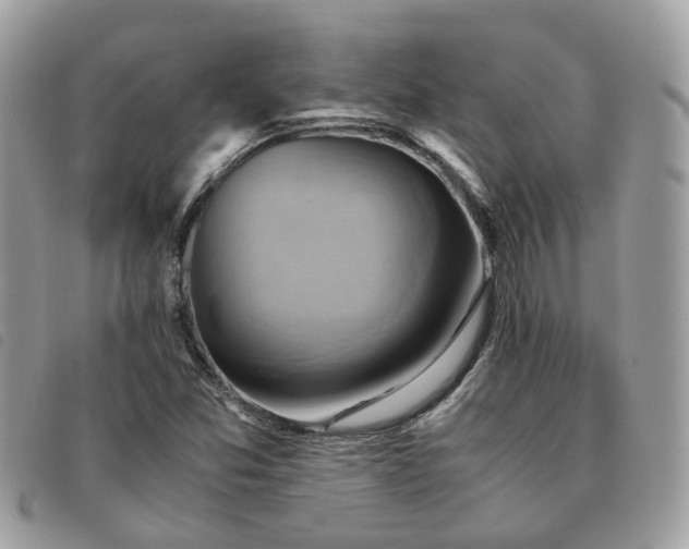 X0000091541357200708171234