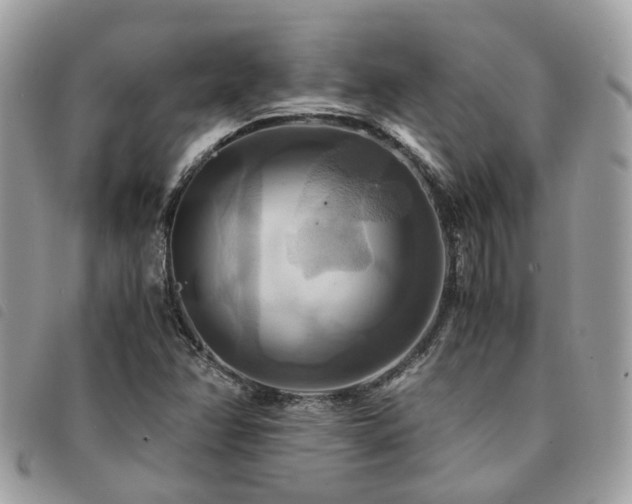 X0000091541358200708171234