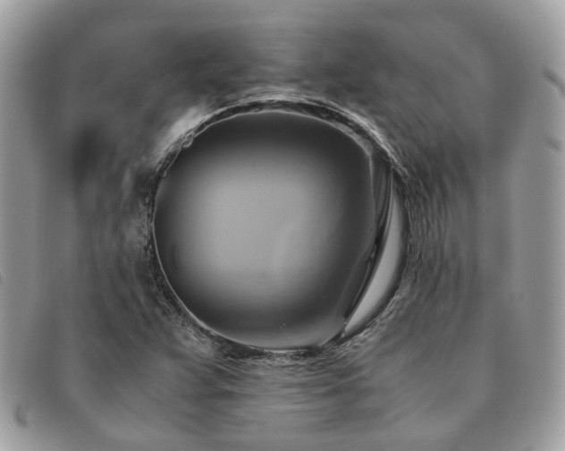 X0000091541359200708171234