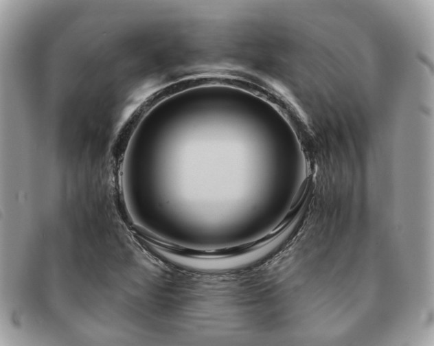X0000091541360200708171234