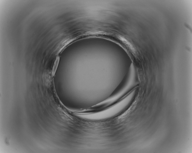 X0000091541361200708171234