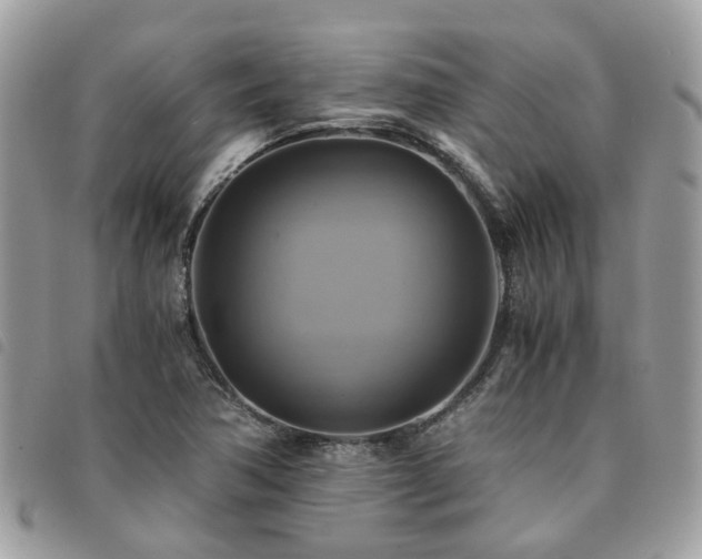 X0000091541362200708171234