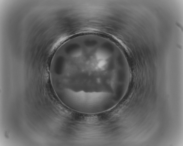 X0000091541363200708171234