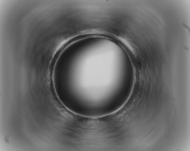 X0000091541364200708171234