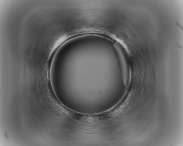 X0000091541365200708171234