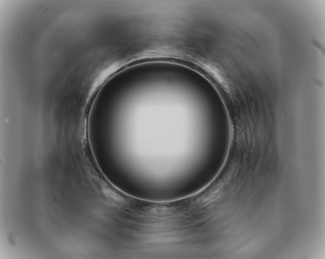 X0000091541366200708171234