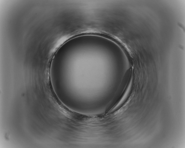 X0000091541367200708171234