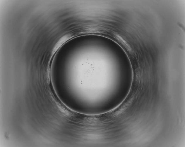 X0000091541370200708171234