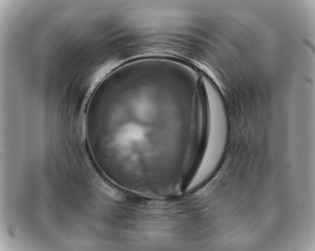 X0000091541371200708171234