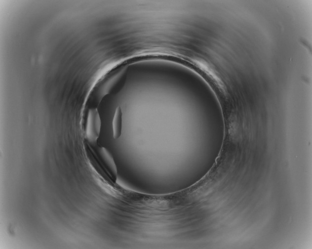 X0000091541372200708171234