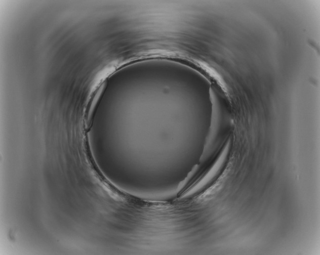 X0000091541373200708171234