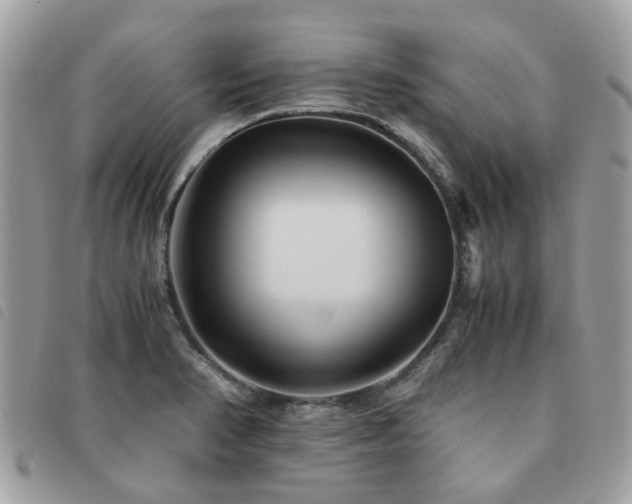 X0000091541374200708171234