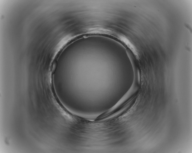 X0000091541376200708171234