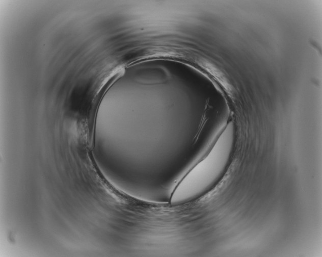 X0000091541377200708171234