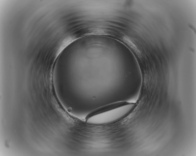 X0000091541378200708171234