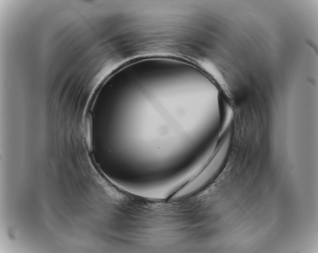 X0000091541380200708171234