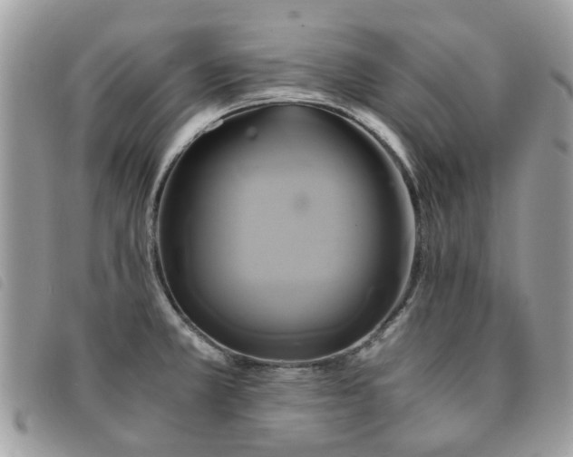 X0000091541381200708171234