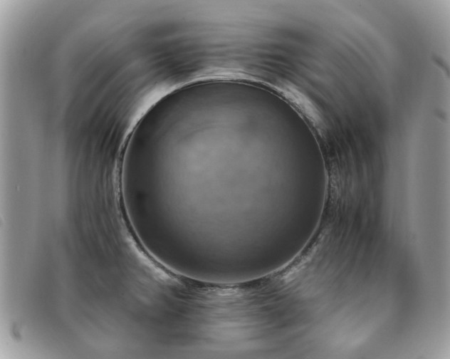 X0000091541382200708171234