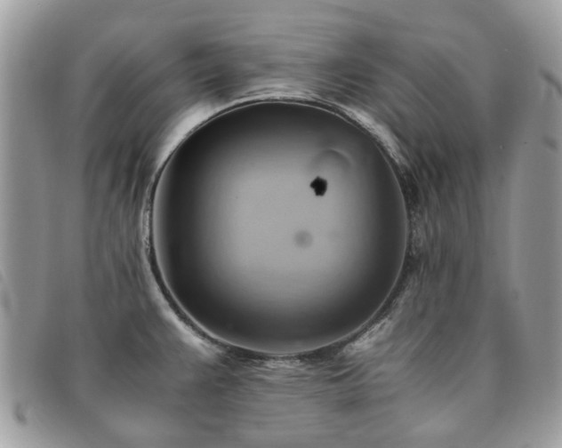 X0000091541383200708171234