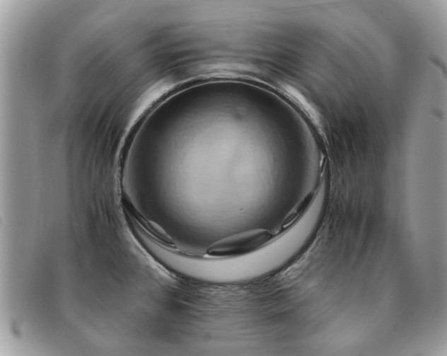 X0000091541384200708171234