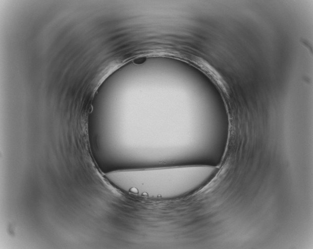 X0000091541385200708171234