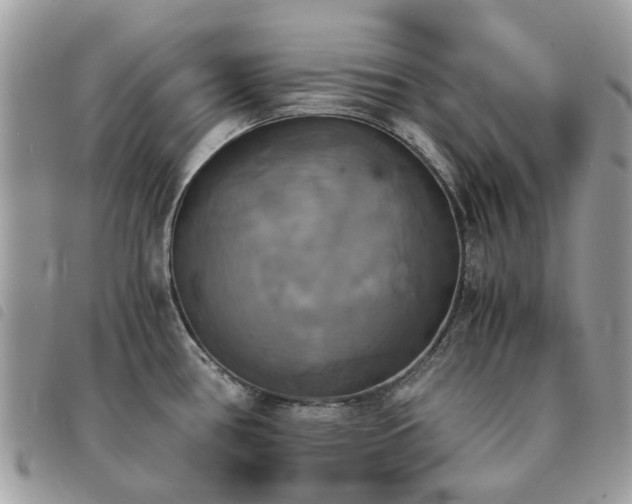 X0000091541386200708171234