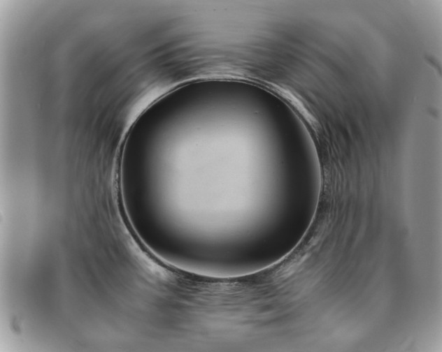 X0000091541387200708171234