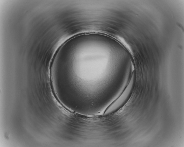 X0000091541388200708171234