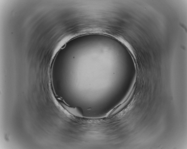 X0000091541389200708171234