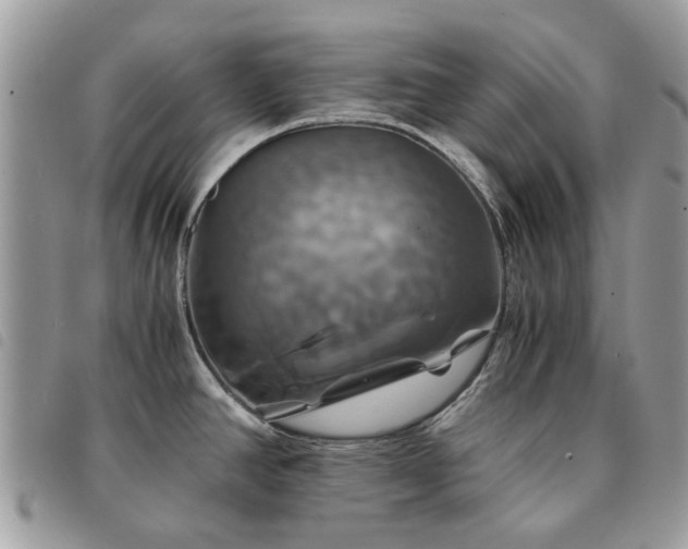 X0000091541390200708171234